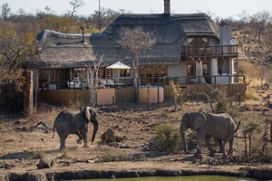 The Ultra Luxury Private Villa Accommodation Collection Royal Madikwe South Africa | The Royal Madikwe