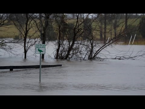 Fitzroy Crossing bridge sustains structural damage after floods