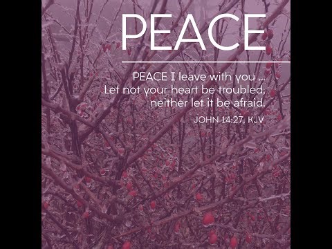 Sunday December 7, 2025