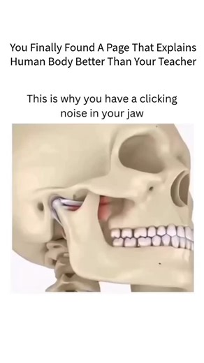 medical/health on Instagram: "An animated explanation of why your jaw clicks. It shows the movement of the temporomandibular joint (TMJ) and the disc displacement that causes the popping sound." #science #biology #bio #medical #viral #educational #recovery #explore #operation #teeth"