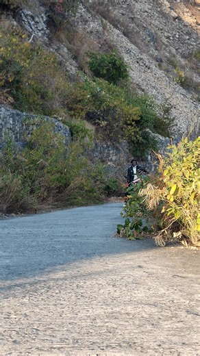 Understanding Democracy and Its Importance