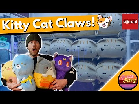 The BEST Claw Machine Video Ever...for Your Cat!