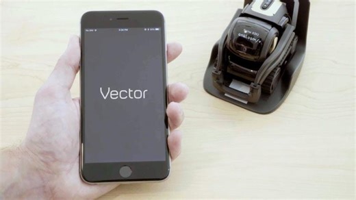 Vector | Onboarding Series | Getting Started | Anki
