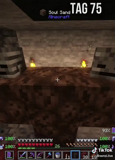 Neue Drachenbabys bei Better Minecraft - Tag 75 🔴