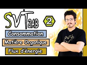 Consommation de la Matière Organique et le Flux d’énergie - Part 2