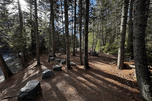 This Is Maine's Most Underrated State Forest Trail