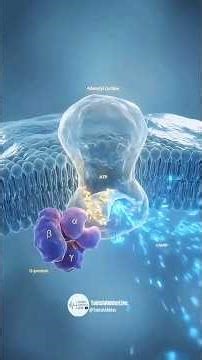 Inside the Human nose: High-Yield 3D Breakdown #3DAnatomy
