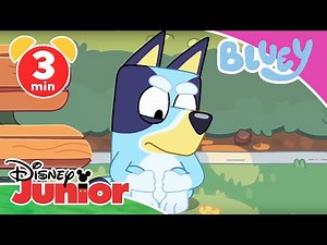 💙 Bluey - Clip: Lernen ist nicht leicht | Disney Junior
