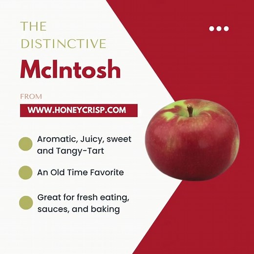 Fall in love with McIntosh apples from Honeycrisp.com and make a pie! | Honeycrisp .Com | Facebook