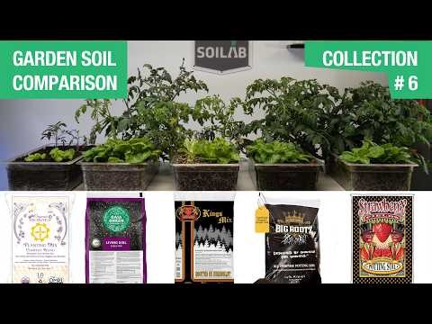 Comparing Five Bagged Garden Soils | Collection 6