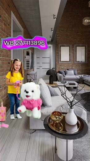 Учимся убирать за питомцем #Shorts