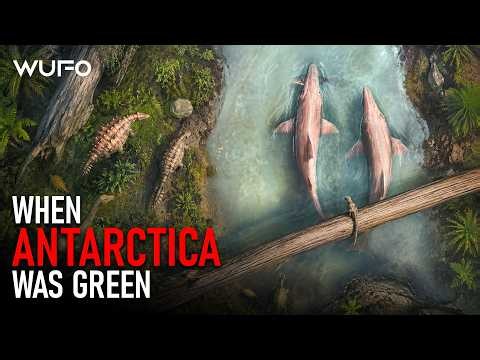 Prehistoric Antarctica: When the Frozen Continent Was a Green Jungle | Full Documentary