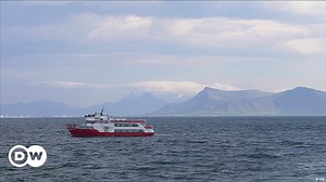 Hunting endangered whales in Iceland