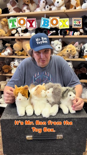 Douglas Cats Steal the Spotlight at Toy Box Michigan