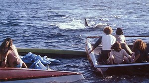 Jaws 2