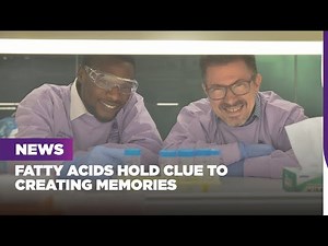 Fatty acids hold clue to creating memories