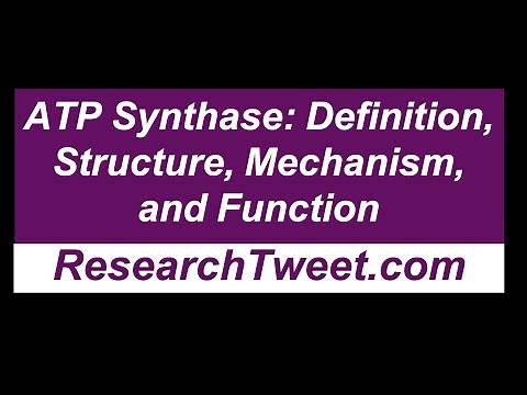 ATP Synthase: Definition, Structure, Mechanism, and Function