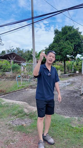 116K views · 813 reactions | kampung 屋的别墅‼️ Cheng Area Single Storey 3 Bedrooms + 3 Bathrooms Leasehold 14100 Sqft ☎️ wasap.my/60102716871/Chengsinglesty14100sqft #UBIGPROPERTY #UBIG哥 #TheRoofRealtySdnBhd #马六甲 #粉丝 | UBIG Property -Melaka | Facebook