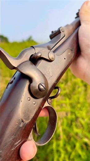 Model 1884 Springfield