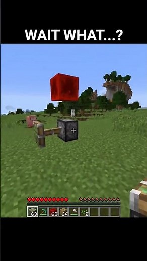 Minecraft Wait What meme! #minecraft