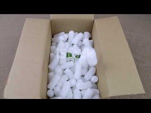 invideo ai 1080 GreenBite's Farm to Plate Journey Organ 2025 12 10