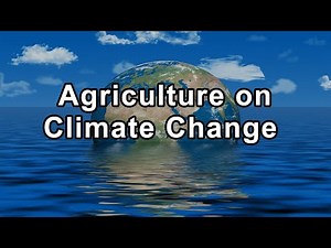The Hidden Impact of Animal Agriculture on Climate Change