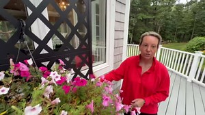 Raised Garden Bed with Trellis and Wheels,73"x47"x16" Metal Raised Garden Bed,White Modern Metal Planter with Climbing Trellis for Vines & Vegetables