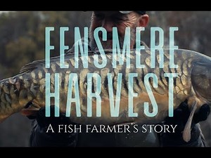 The Fensmere Harvest 2025 | A Fish Farmer’s Story (Full Documentary Film)