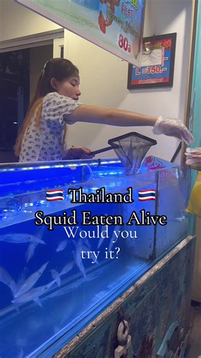 Squid eaten ALIVE! Would you try it? #squid #thailand #followmytraveljourney #travel #travelfood