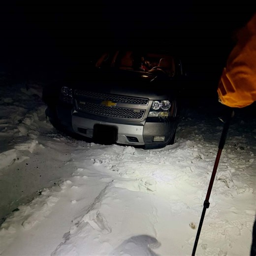 Texas couple, dogs rescued after becoming stuck on mountain pass