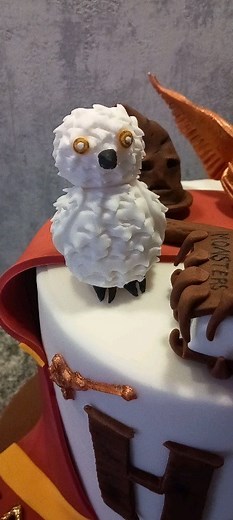 Cake design harry potter #cakedesign #patisserie #dessert #anniversaire #harrypotter | Clémentine Quesnel