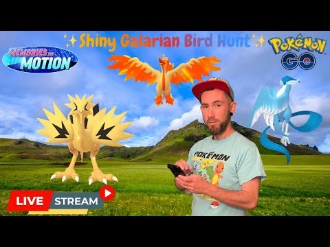 ✨Shiny G bird hunt🪽PvP⚔️Raids & more!✨Pokémon Go LIVE🤞