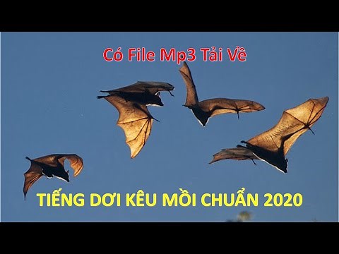 Tiếng Dơi Kêu Mồi Chuẩn 2020
