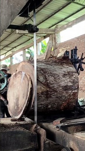 Giant Log Cutting Into Perfect Wood Slabs – Unbelievable!