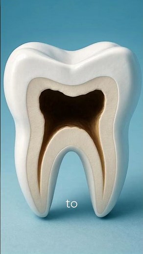 How Dentists Fix Cavities (Step-by-Step)