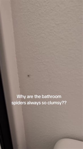 Understanding Clumsy Bathroom Spiders