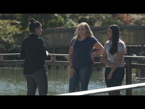 Rosecrance Commercial: Adolescent Residential Services