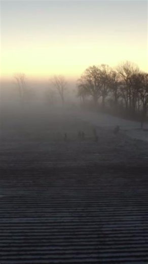 54K views · 1.1K reactions | To be successful hunting snow geese, you need a soft shooting shotgun that offers speed, reliability, and precision. The gas-operated Browning Maxus II autoloader delivers flawless performance in the harshest conditions. From the silence of the crisp, pre-dawn morning air to the thunderous shot that drops a bird from the sky, the Maxus II is the ultimate tool for waterfowl hunters. #WaterfowlHunting #SnowGeese #Shotguns #hunting #browning | Browning | Facebook