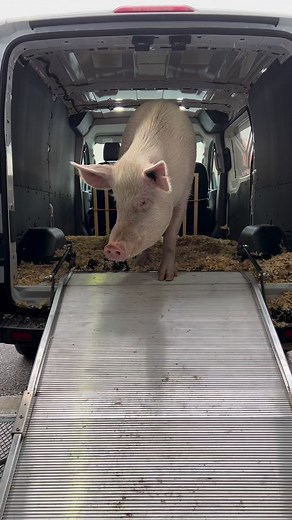 2.7M views · 1.7K reactions | I mean Max really is a legend, walking...