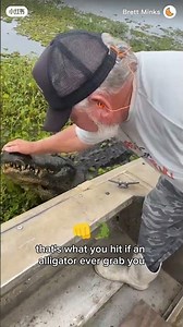 Chinese Alligators Are Not Dangerous: The Truth You Never Knew!