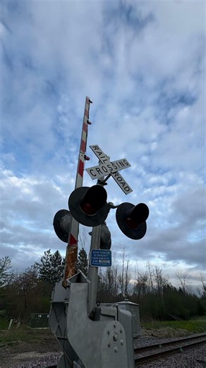 Railroad crossings🔥 #train