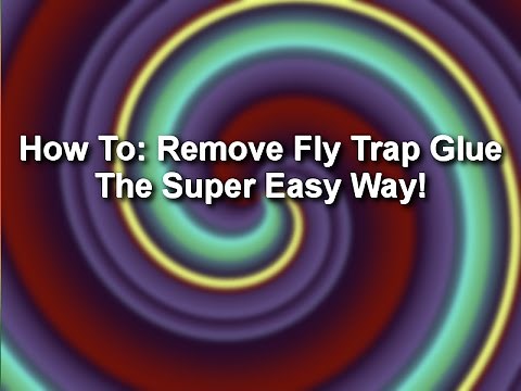 How to: remove fly trap glue - the super easy way!