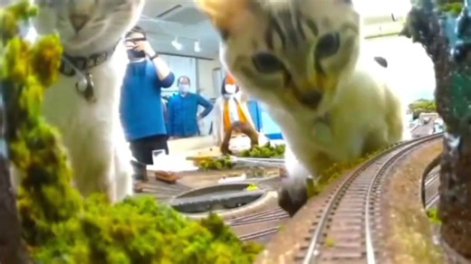 Rescued Cats Play in Miniature Railway Diorama