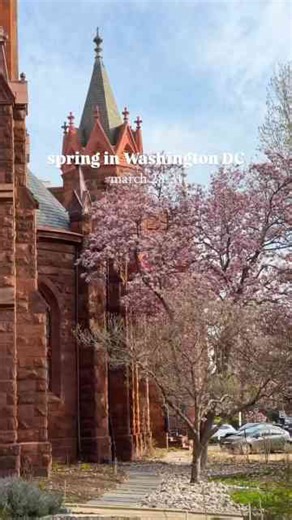 Spring in the US is here | Washington DC blooms preview