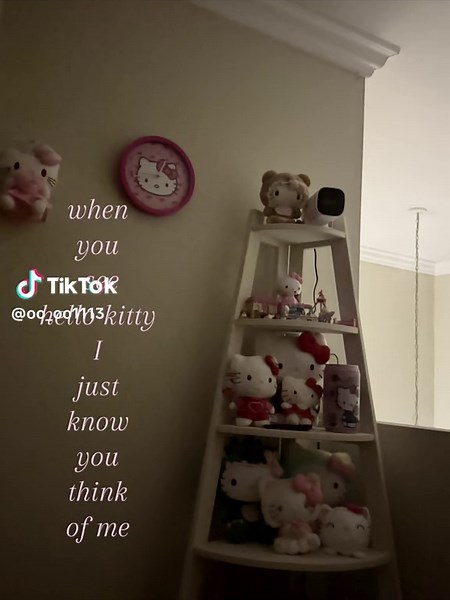 Hello Kitty Inspired Merch for Fans and Collectors