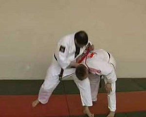 Hojojutsu technique