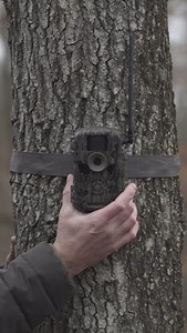 8K views · 67 reactions | The tried and true. #StealthCam | Stealth Cam | Facebook