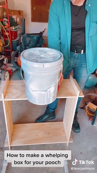 DIY Whelping Box Ideas for Your Home Improvement Project