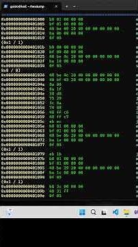 🔍 Reverse Engineering laufender Programme bearbeiten #linux #shorts #2026