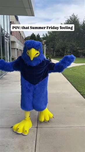 Walk through the HC Campuses with the Hawk!